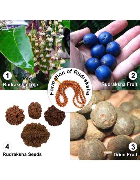 Rudraksha Mala | 5face Genuine Himalayan Rudraksha bracelet | Rudraksha Bead| Beaded Bracelets for Men | Pendant Necklace with Bead Bracelets Rudraksha Mala | 5face Genuine Himalayan Rudraksha bracelet | Rudraksha Bead| Beaded Bracelets for Men | Pendant Necklace with Bead Bracelets
