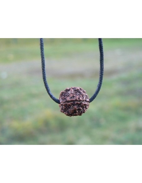 Rudraksha Pendant HANDMADE Real Original Big 5 Mukhi Mala Bead, Rudraksh Necklace on Adjustible Cotton Cord, Shiva Jewelry, Hindu protection necklace for men women (Black cotton cord) Rudraksha Pendant HANDMADE Real Original Big 5 Mukhi Mala Bead, Rudraksh Necklace on Adjustible Cotton Cord, Shiva Jewelry, Hindu protection necklace for men women (Black cotton cord)